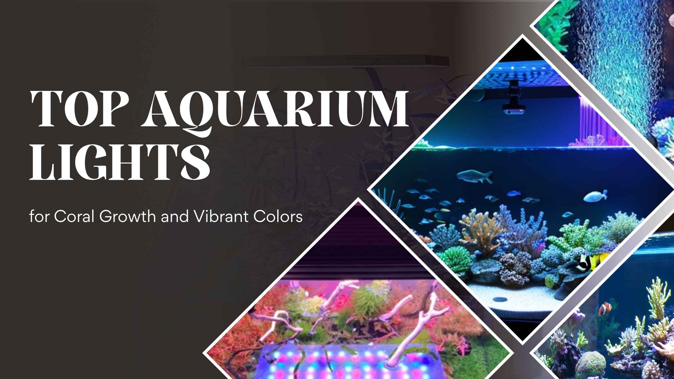 Aquarium Lights
