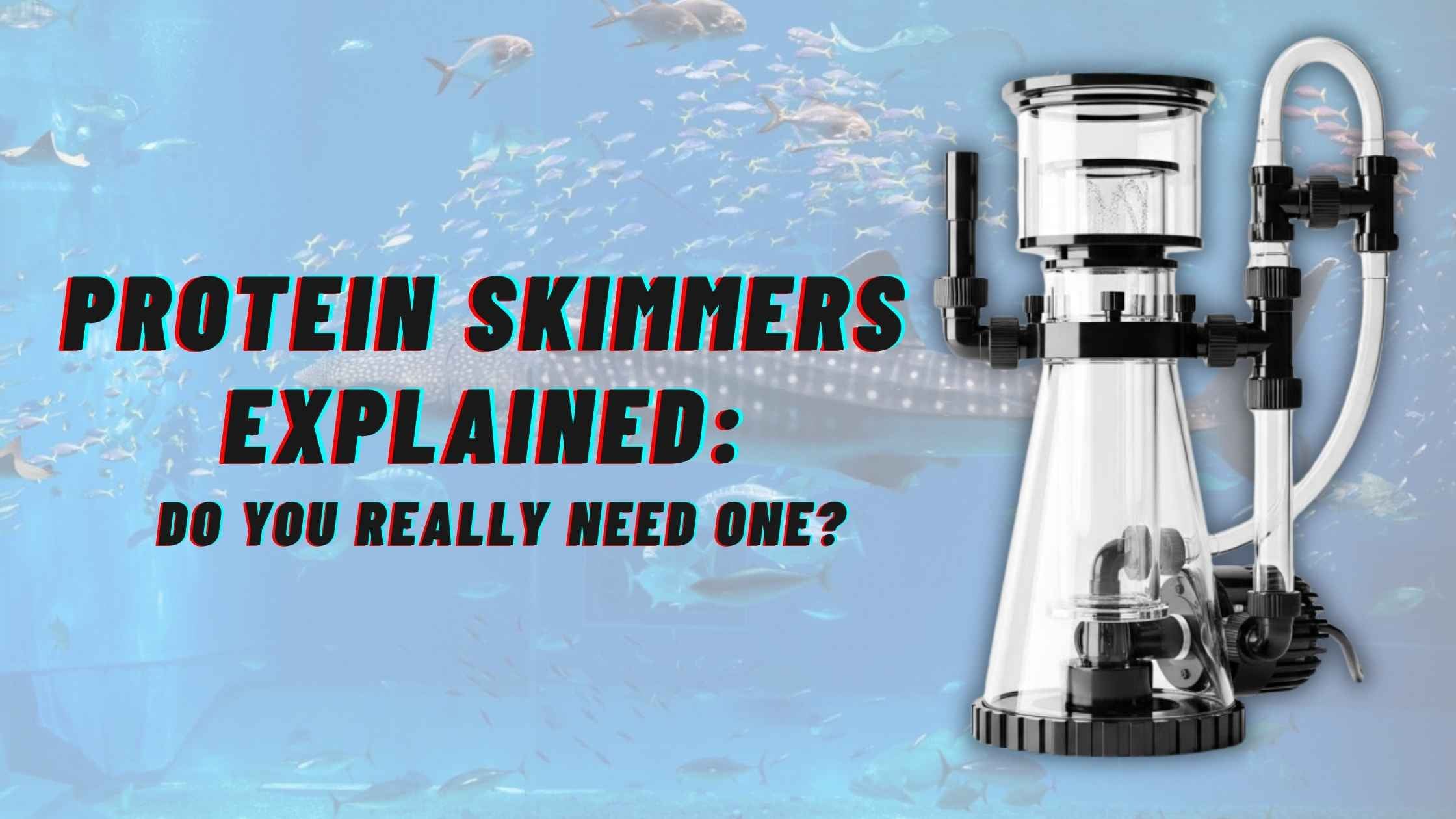 Protein Skimmers Explained: Do You Really Need One?