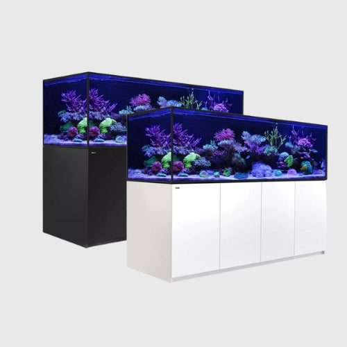 Aquariums
