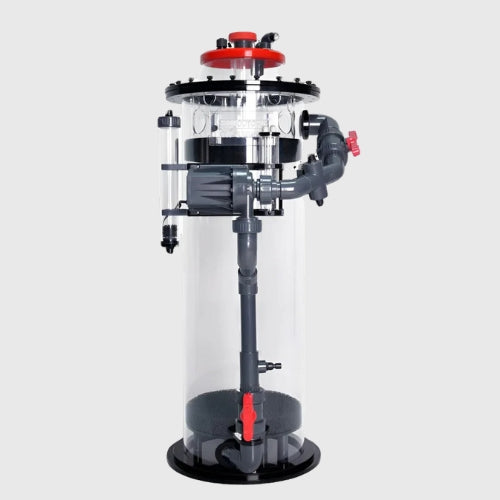 Aquarium Filtration