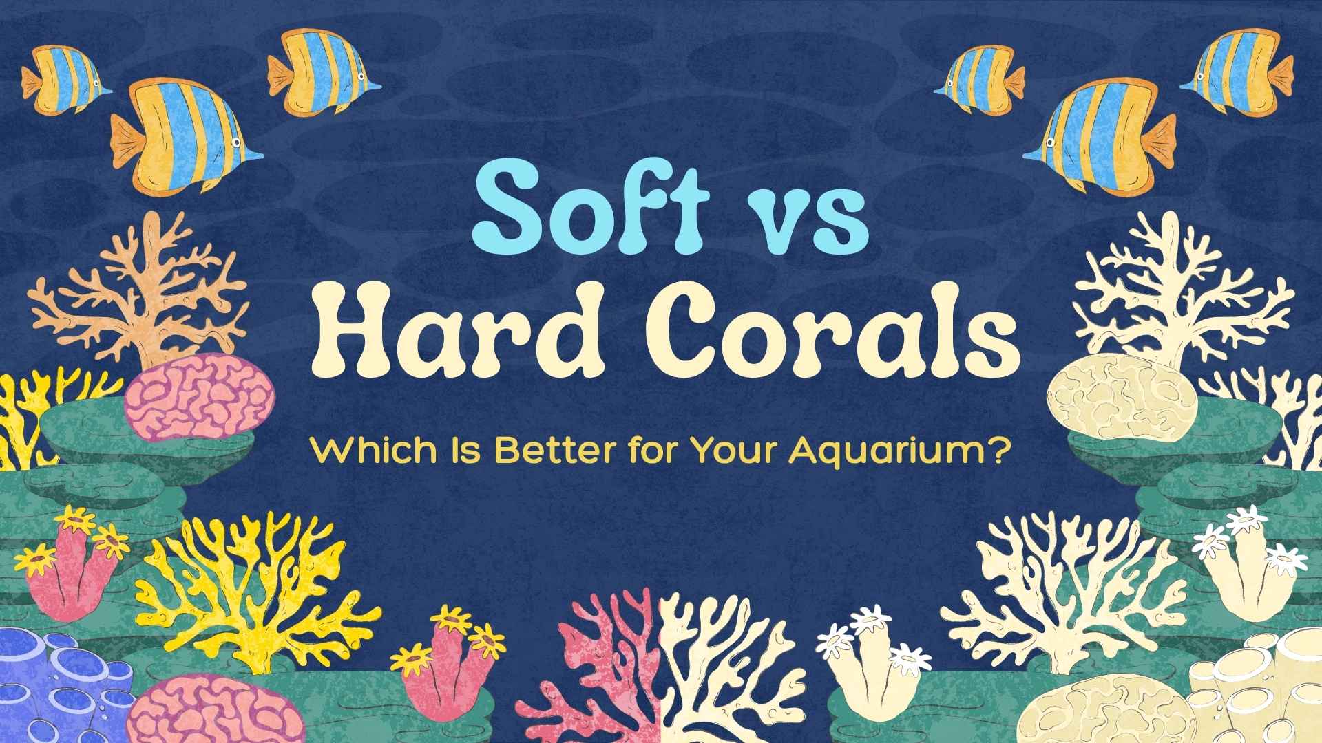 Soft Corals vs Hard Corals